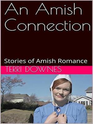 cover image of An Amish Connection
